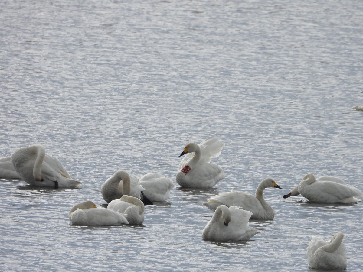 子持ちと子なし、SNSで議論が白熱