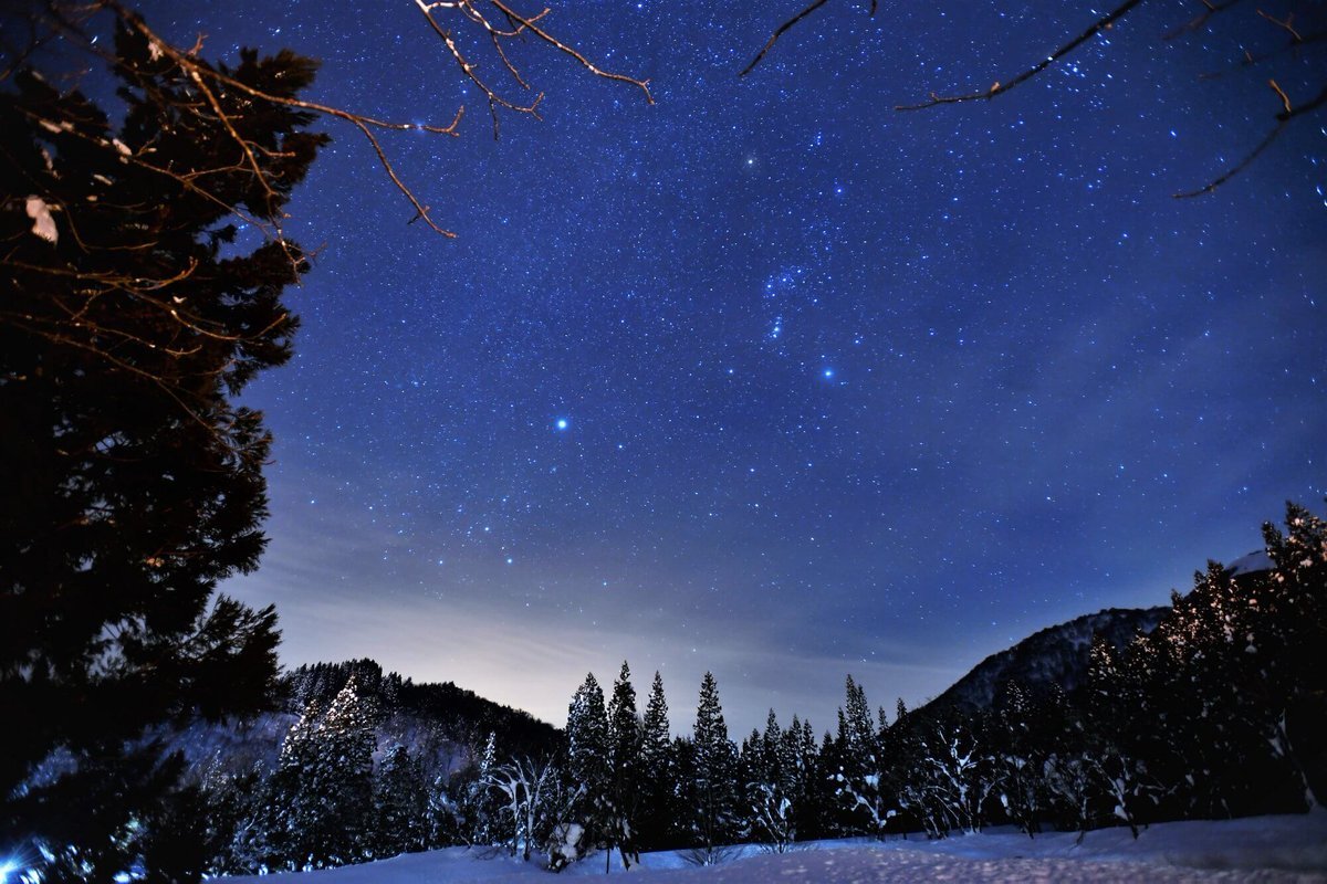 与謝野晶子生誕記念日、SNSで「みだれ髪」や「君死にたまふことなかれ」が話題に