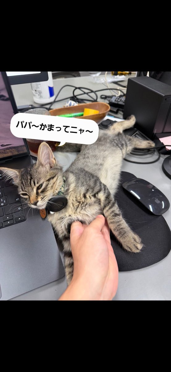 星野源、ラジオでこてんちゃんにメロメロ？