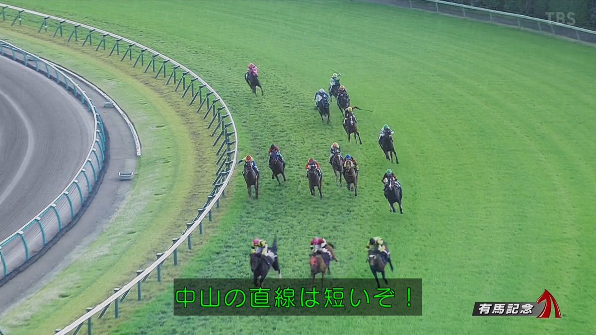 「ザ・ロイヤルファミリー」で競馬用語が話題に？