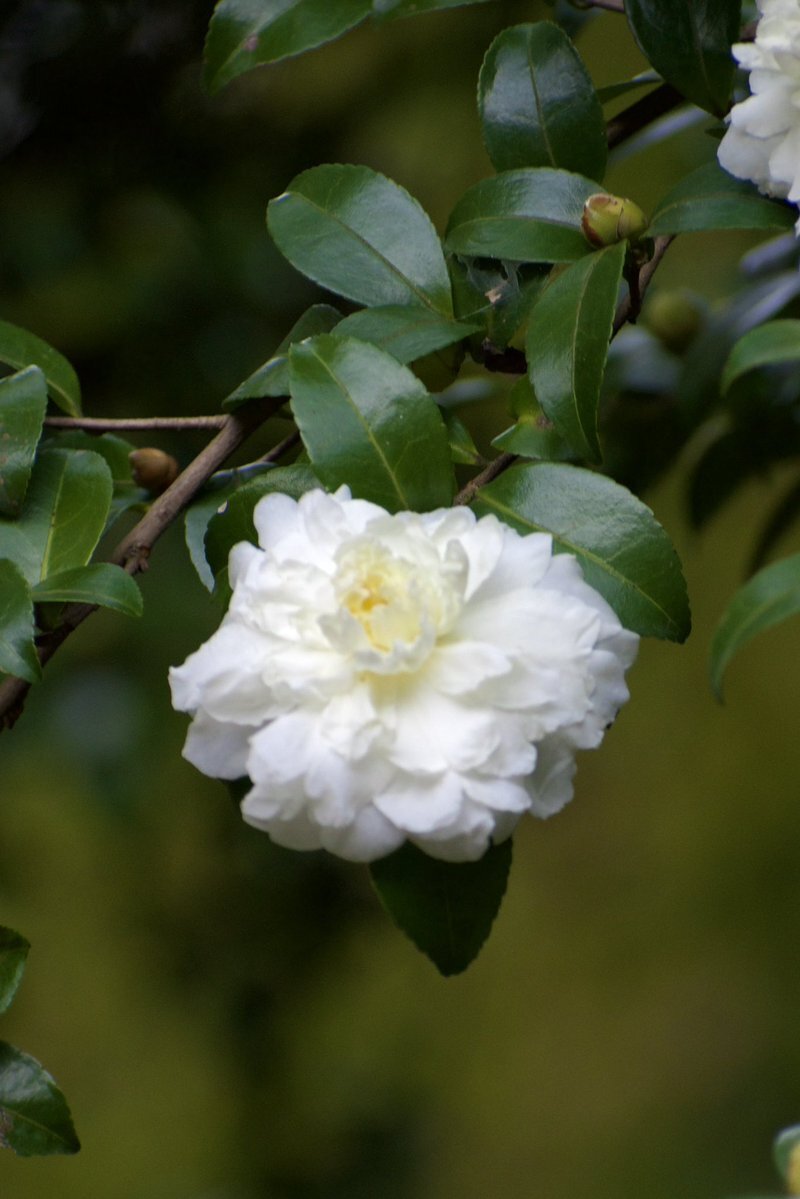 11月29日、SNSで「素敵な週末をお過ごしください」の声