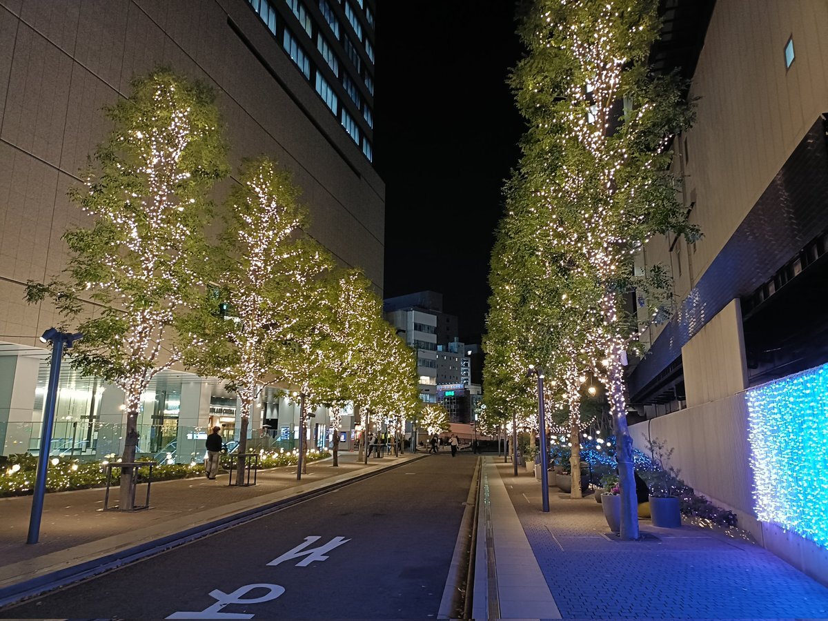 -  旧姓制度に疑問の声、小島健の話題に「1億RT」の声