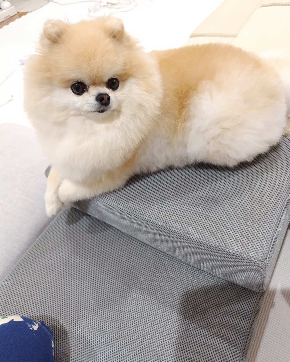 中国海軍機、自衛隊機にレーダーロックオン　防衛省抗議