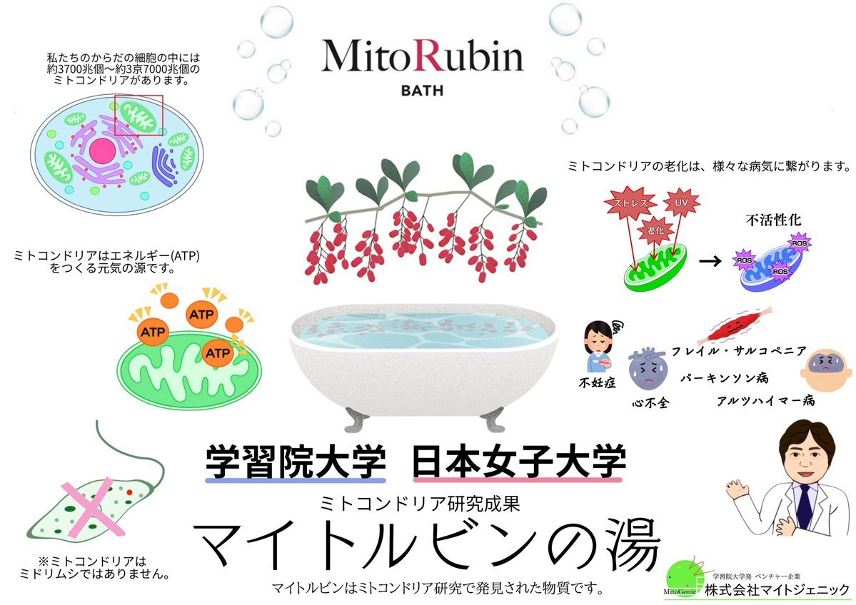 マイトルビンの湯ってどんな薬湯？