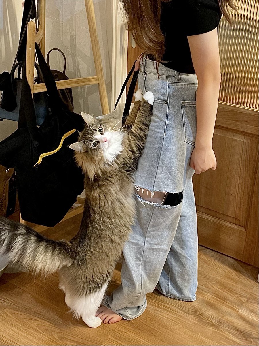 ミルキー☆サブウェイ マグショット マックス ミルキーサブウェイ マックス」のYahoo!リアルタイム検索 - X（旧