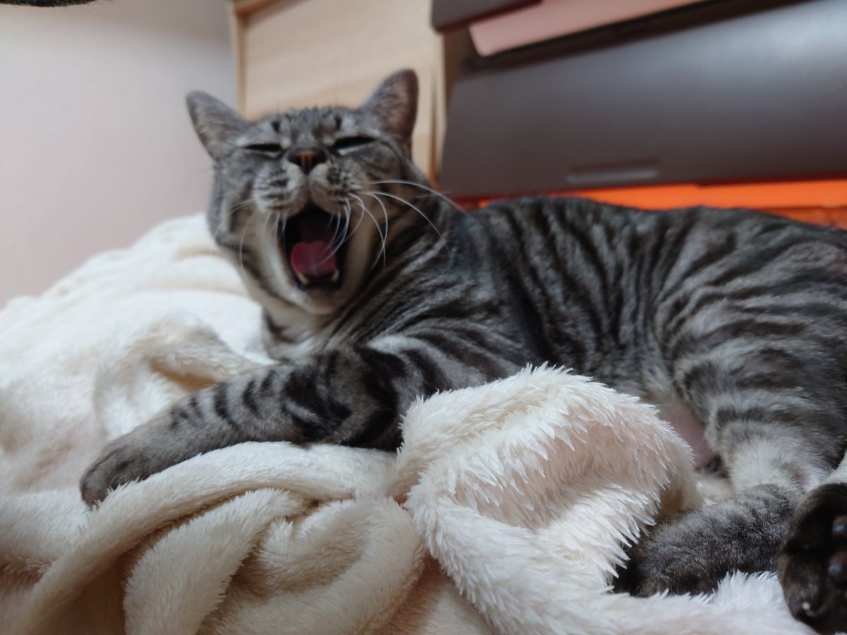 水曜日の投稿、どんな悩みが？