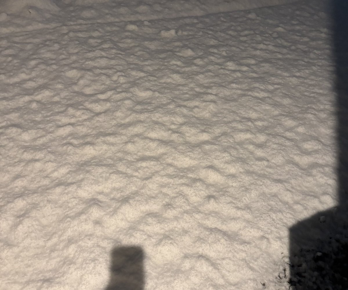 雪が降った！投稿者たちは喜びや不安を表現