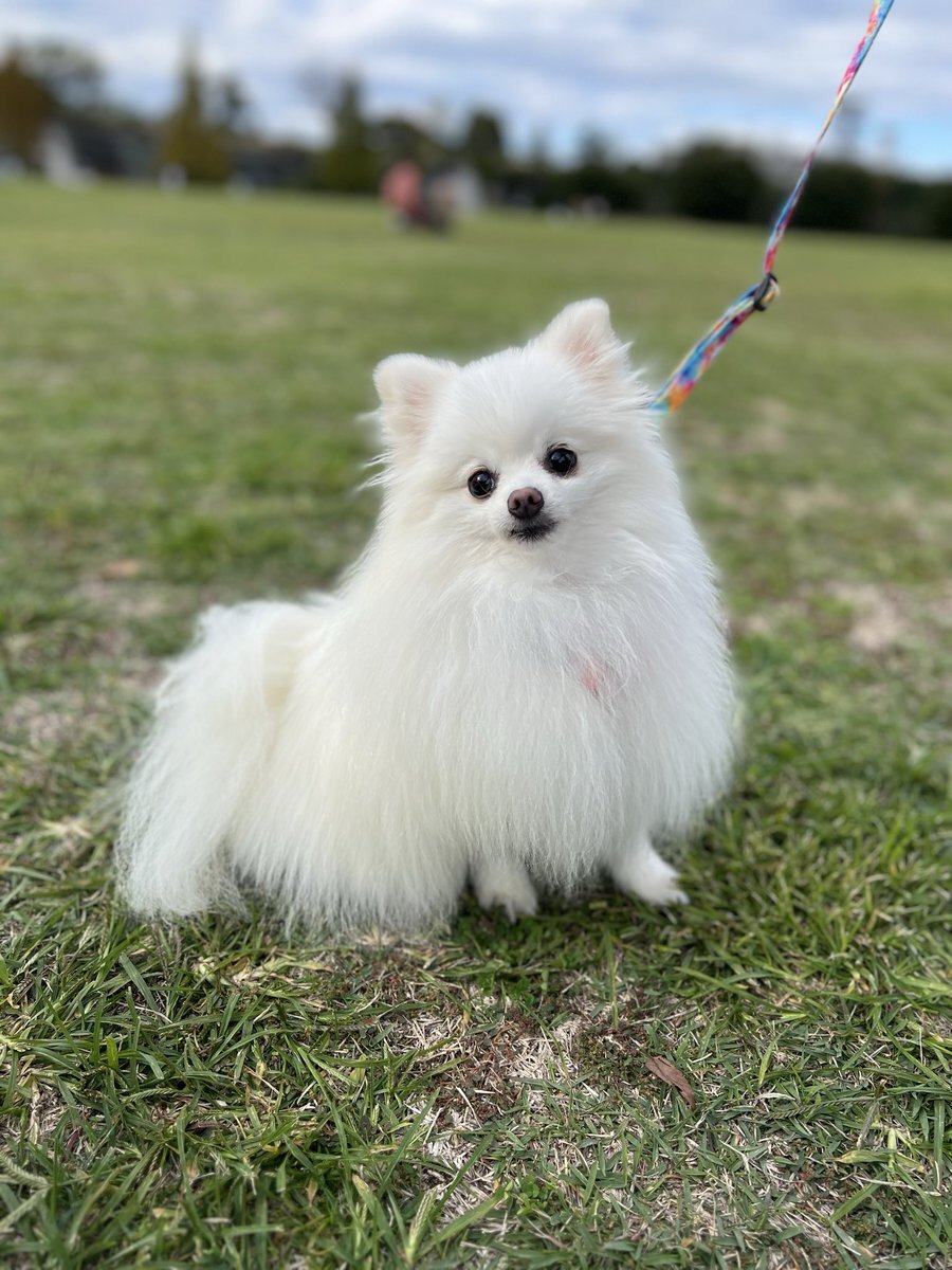 けいちゃん」のYahoo!リアルタイム検索 - X（旧Twitter）を