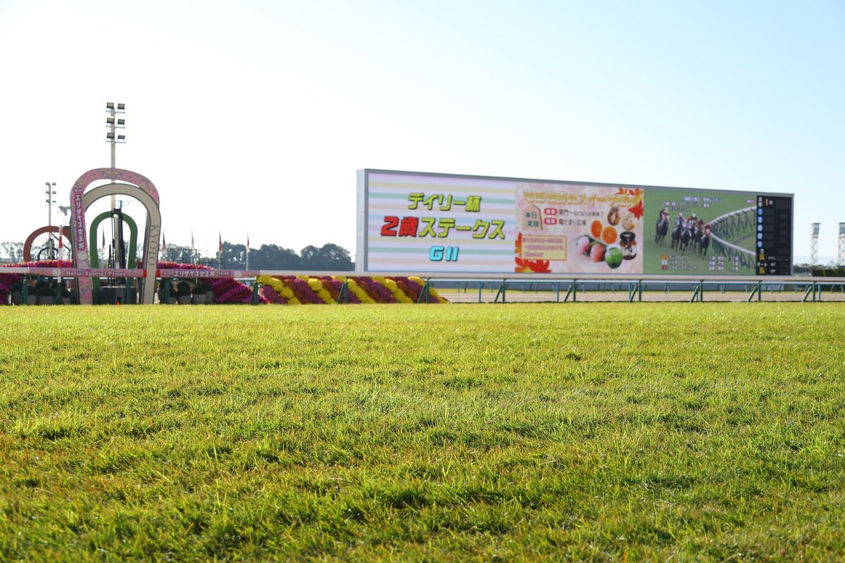 京都競馬場のクッション値11.3！エリザベス女王杯は波乱必至？