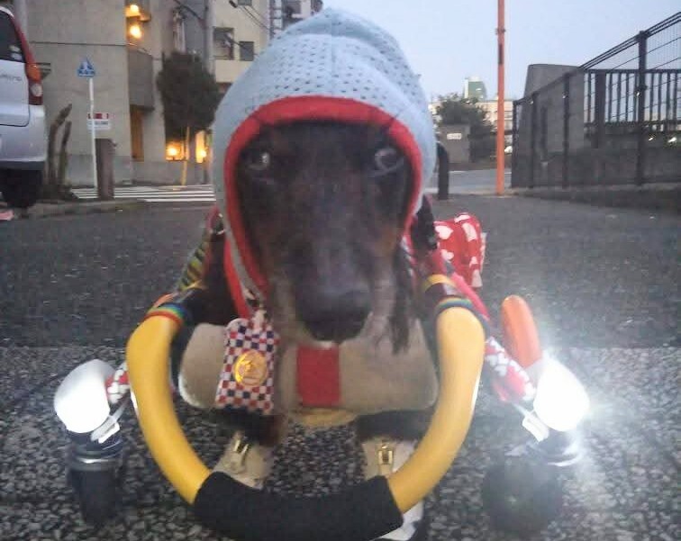 東武東上線、信号トラブルで運転見合わせ