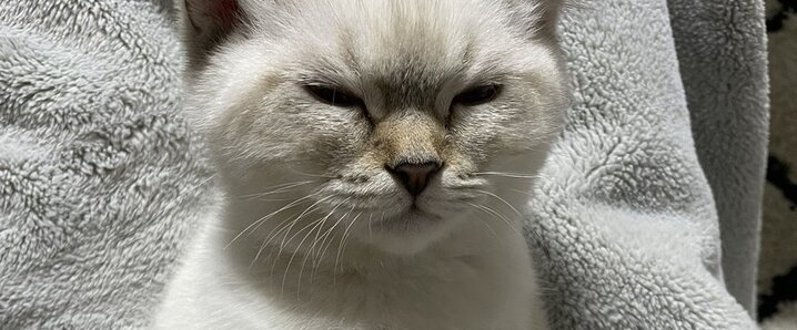 登坂広臣 チケット」のYahoo!リアルタイム検索 - X（旧Twitter）を