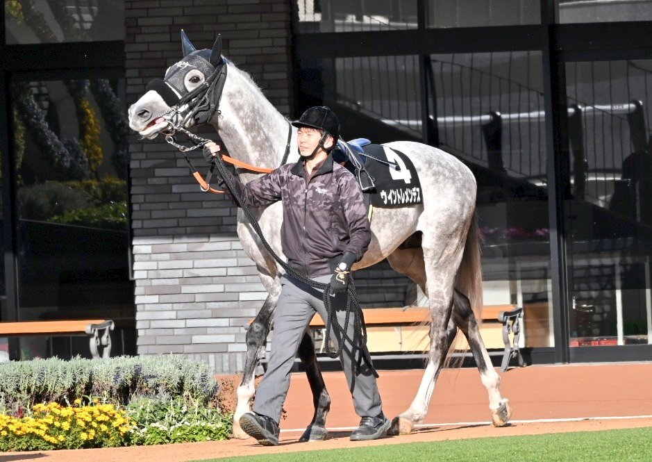 ウイントレメンデス、比叡ステークスで3着！末脚の良さに期待高まる