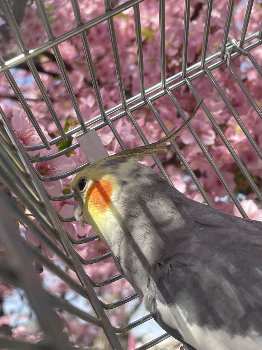 京都府」のYahoo!リアルタイム検索 - X（旧Twitter）をリアルタイム検索