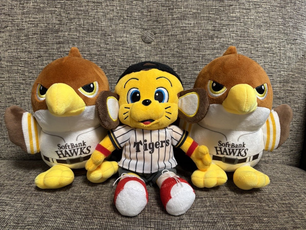 タカぬいぐるみ」のYahoo!リアルタイム検索 - X（旧Twitter）を