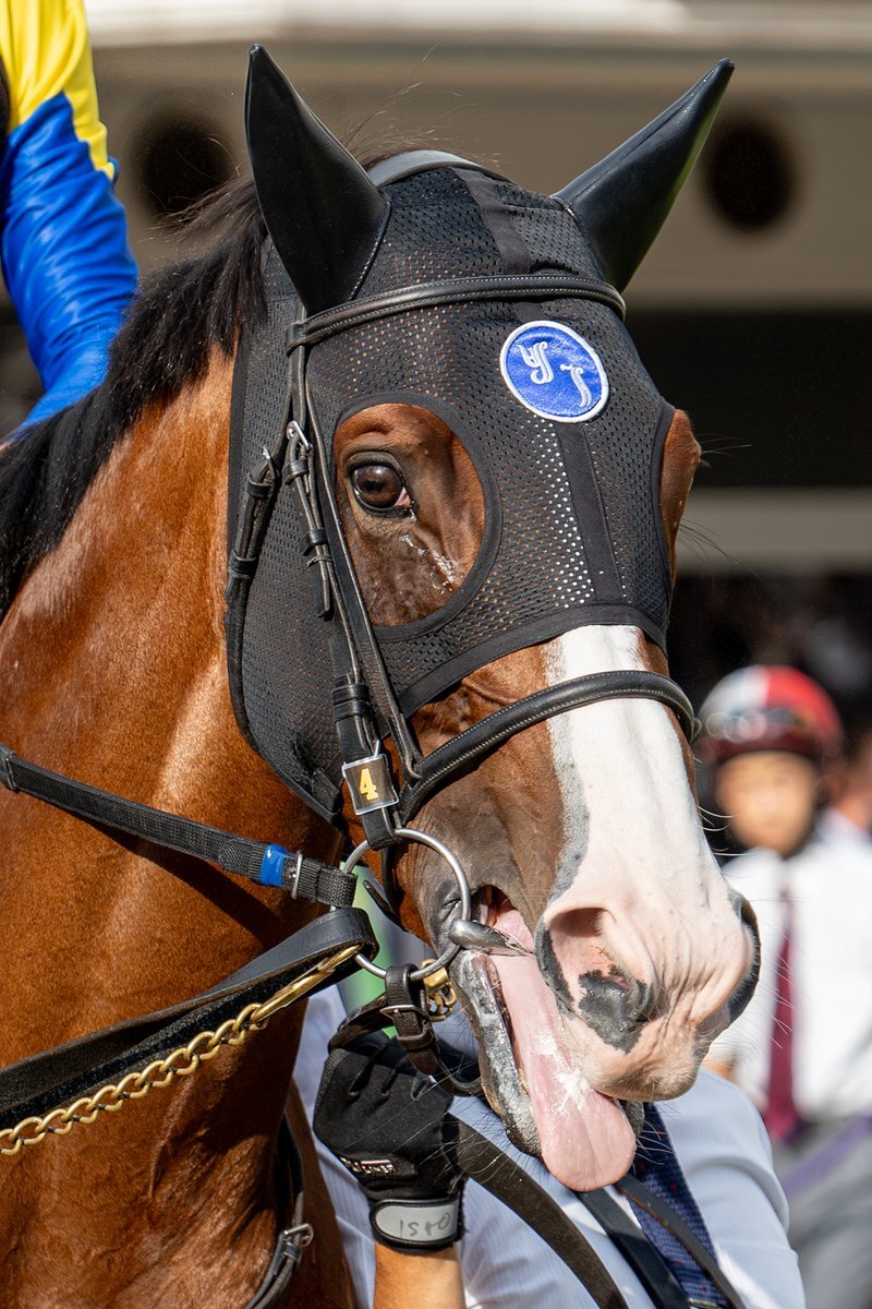なる Nike Air Max 270 スニーカー | ピンク | FARFETCH JP