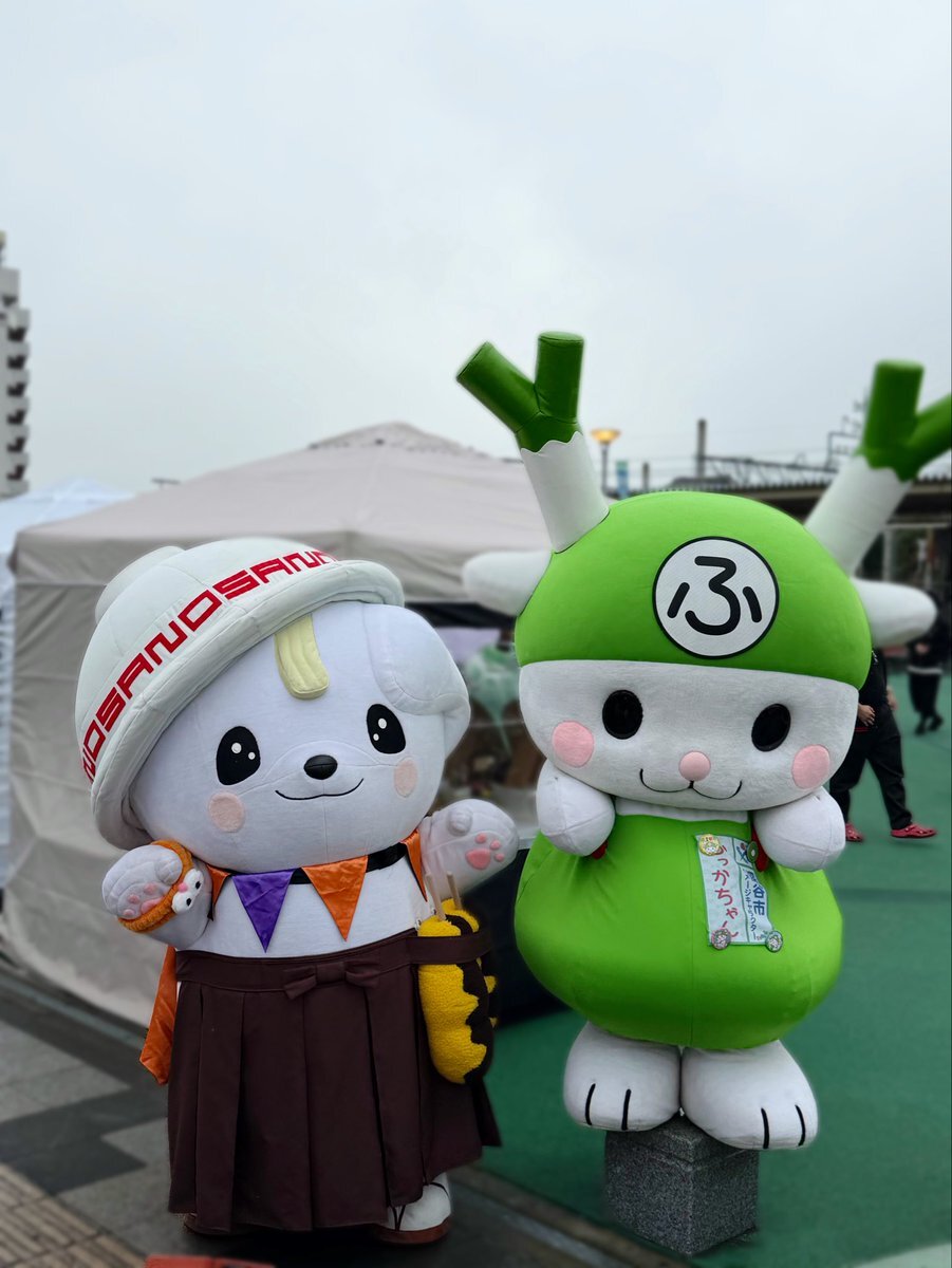 ♡ ふっかちゃん」のYahoo!リアルタイム検索 - X（旧Twitter）を