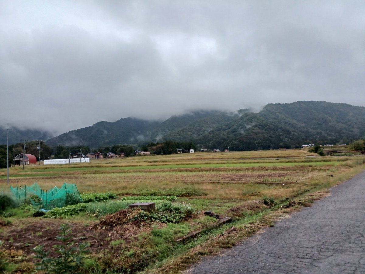 ONEJ、四足走行大会で盛り上がり
