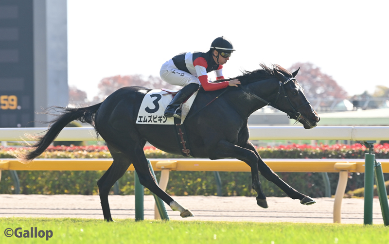 5億9000万円馬エムズビギン、圧勝で初勝利！ 