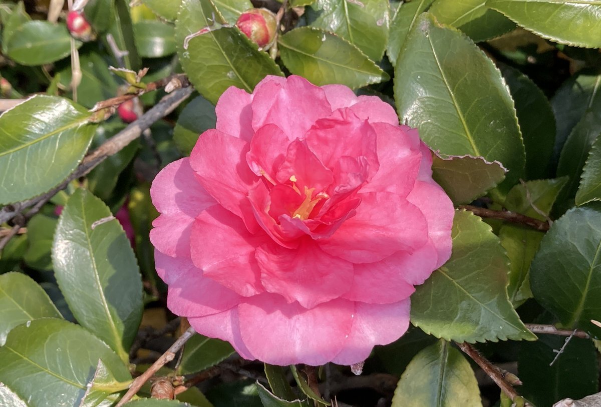 バミューダトライアングルの日：謎の海域に注目が集まる