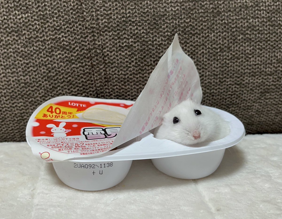 おこめ」のYahoo!リアルタイム検索 - X（旧Twitter）を