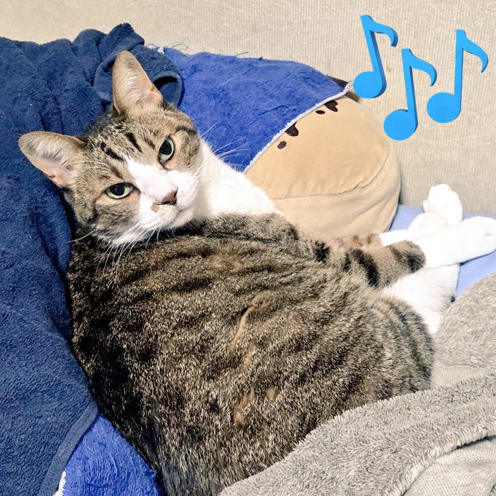 エジソン、蓄音機で「メリーさんの羊」録音！ 音の日を祝う投稿が多数