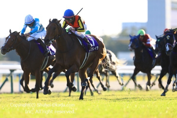 坂井瑠星騎手、ドラマ出演で注目を集める！