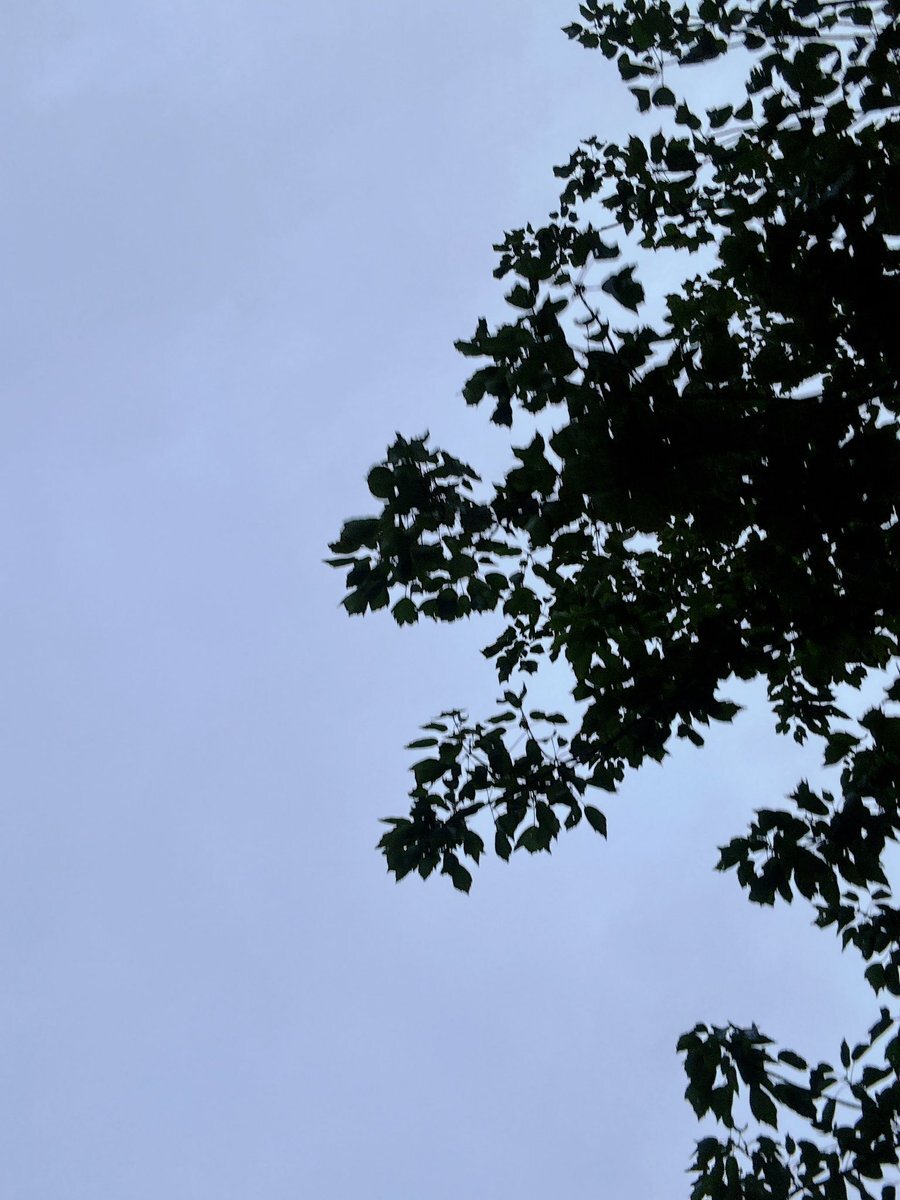 NIKKE 3周年ストーリー、ユーザーを感動と悲しみに