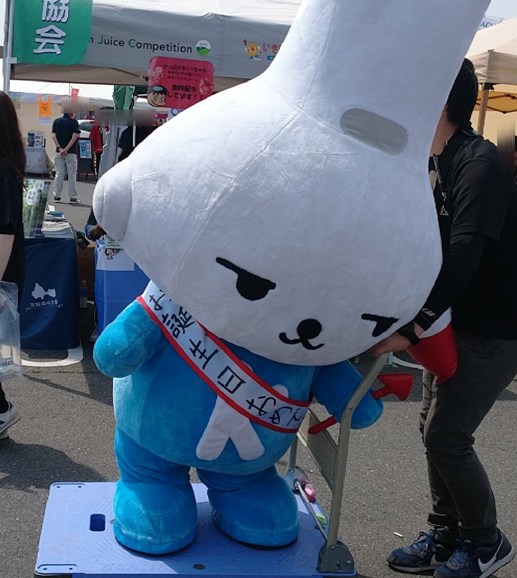 神栖市」のYahoo!リアルタイム検索 - X(旧Twitter)を 神栖市」のYahoo!リアルタイム検索 - X(旧Twitter)を