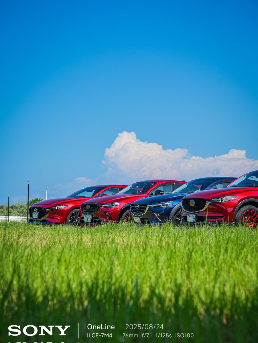 スーツセット CX5」のYahoo!リアルタイム検索 - X（旧Twitter）をリアルタイム検索
