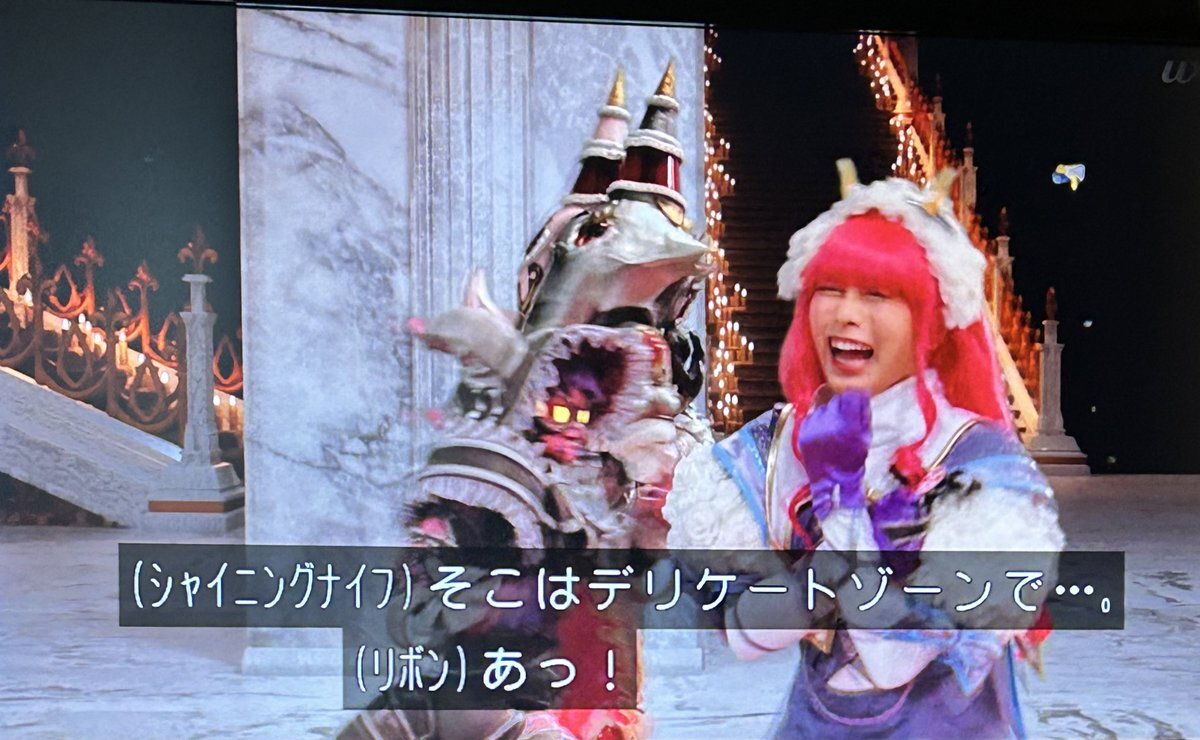 ゴジュウジャー、ブーケ嬢に妹が！？