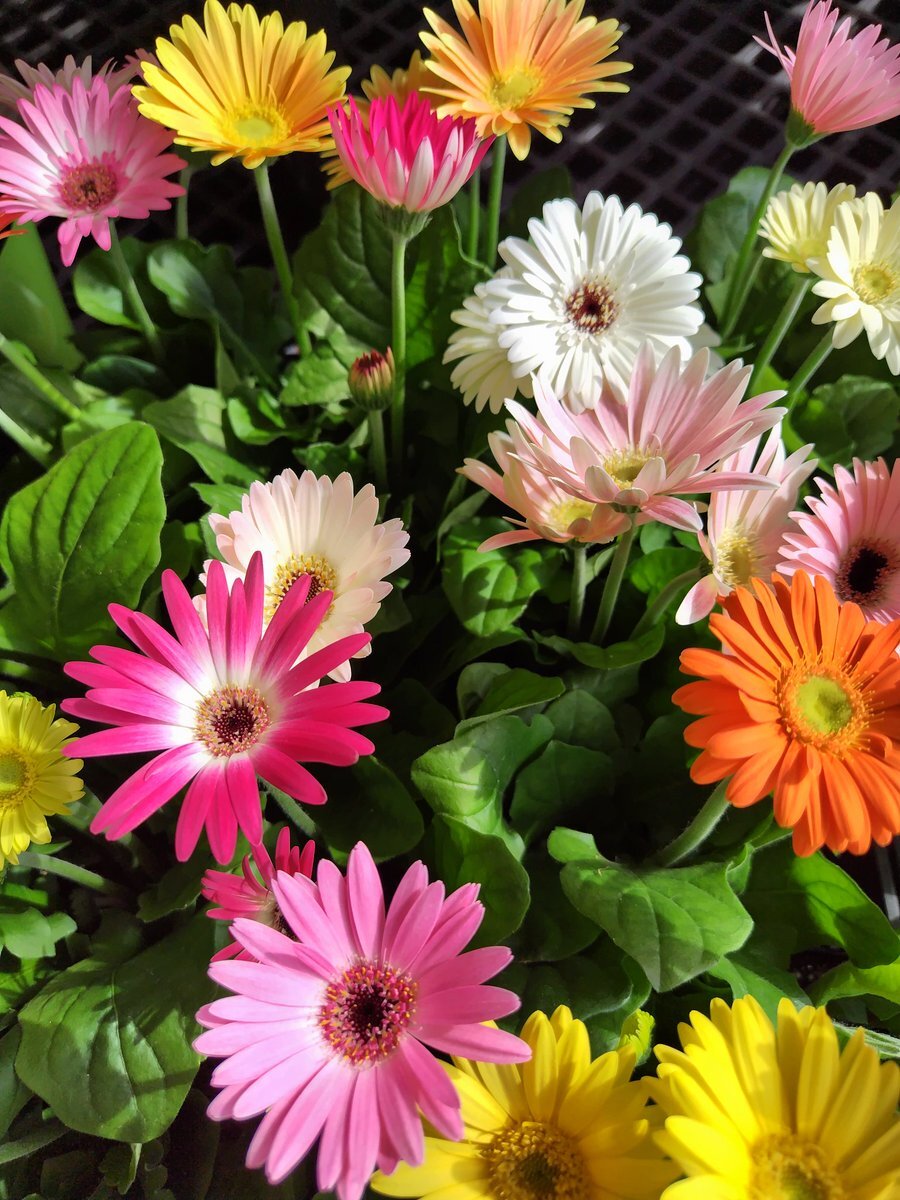 気温が上がりづらい日は、どんな服装をすればいい？