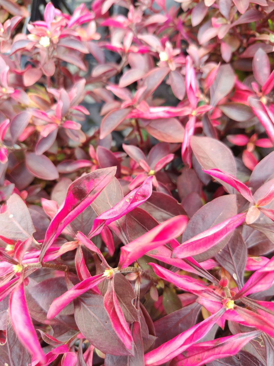 金曜日、多くの人が週末を待ち望む