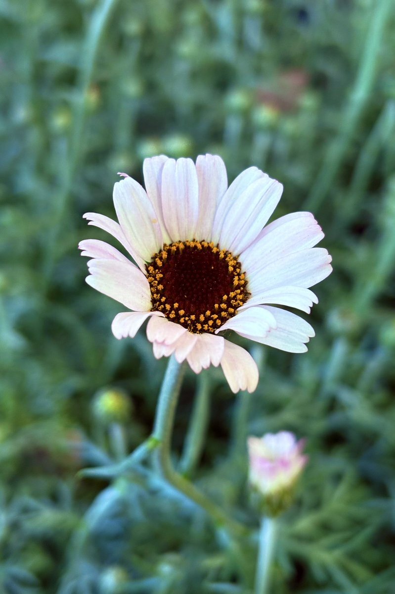 週末の始まりを祝うユーザーたちの投稿 