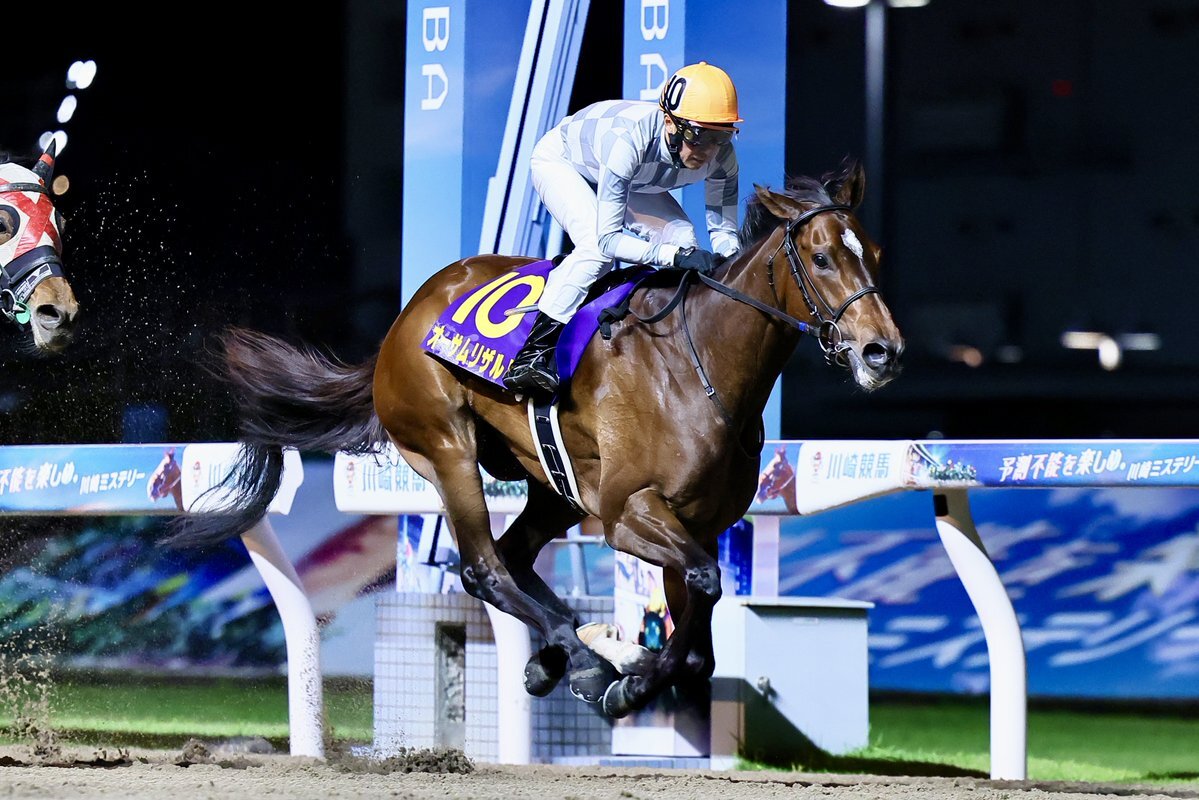 オーサムリザルト、引退の理由は？