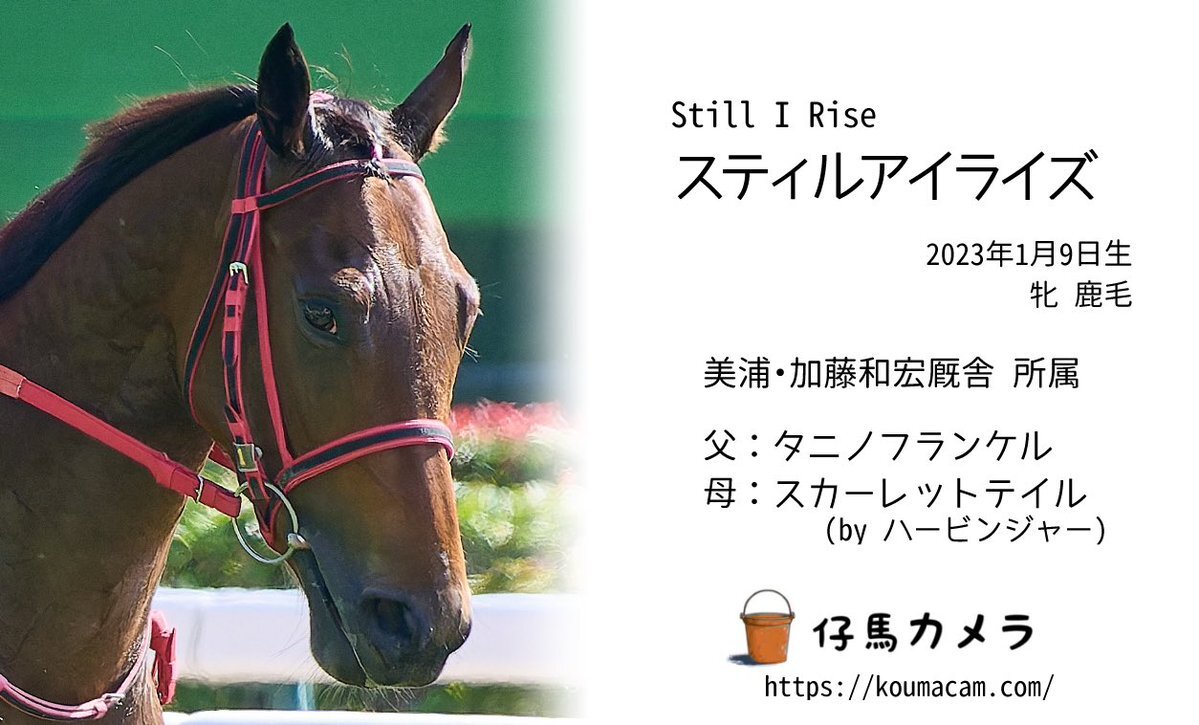 まめちゃん まめちゃん」のYahoo!リアルタイム検索 - X（旧Twitter）を