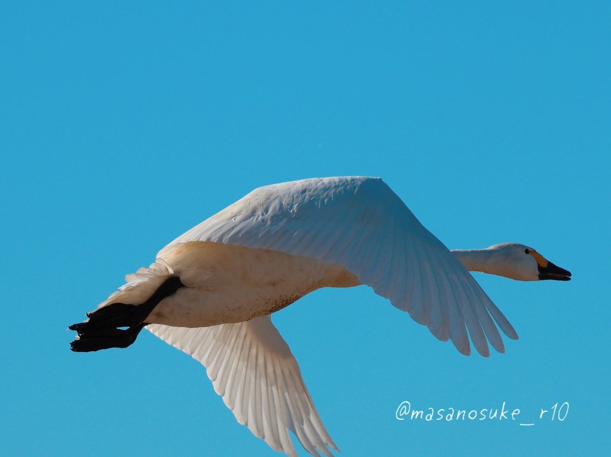 「次の現場」への期待と熱意がSNSを賑わす