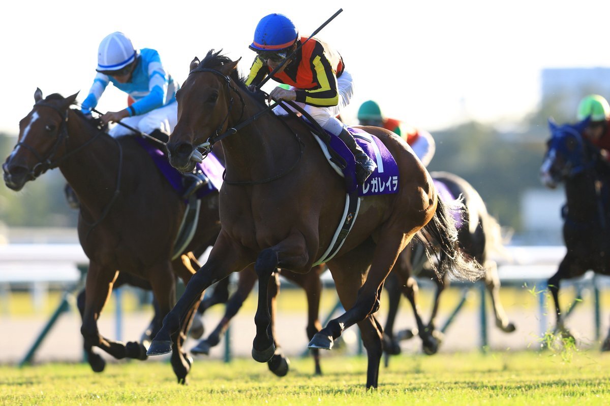 有馬記念ファン投票！レガレイラが首位、メイショウタバルは3位に