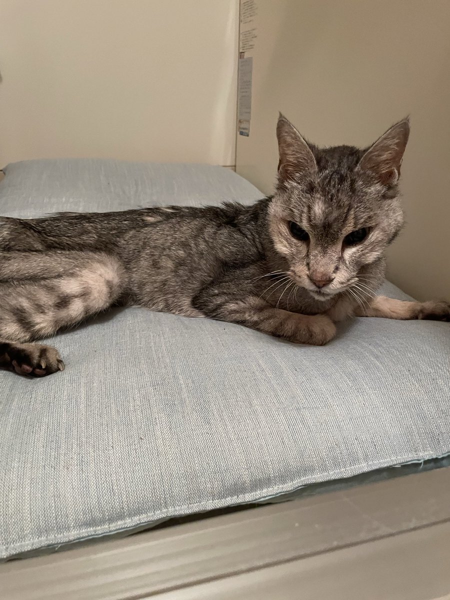 夢で飛び起きた！SNSユーザーの不思議な体験談