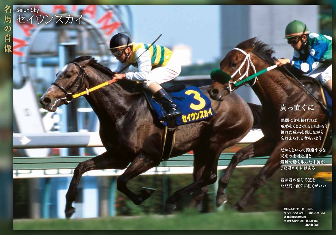 セイウンスカイ 98年  菊花賞 現地的中単勝馬券　ラスト1枚 芦毛の菊花賞馬 #3【セイウンスカイ】1998年菊花賞 実況：杉本