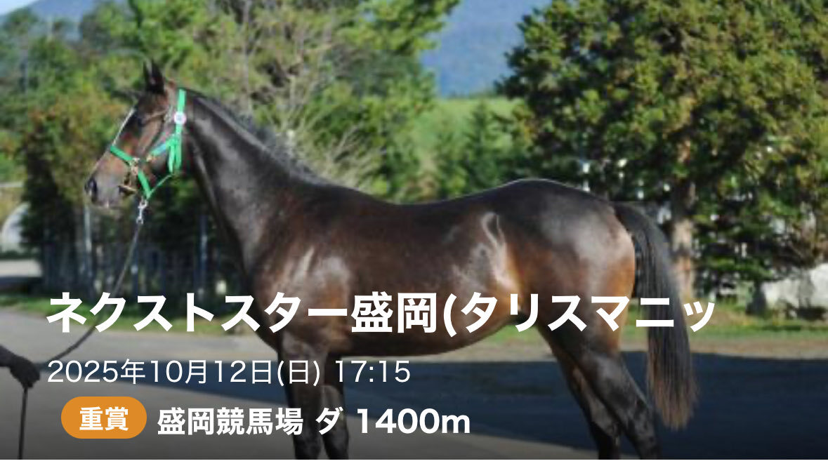 盛岡競馬！ネクストスター盛岡、注目馬は？