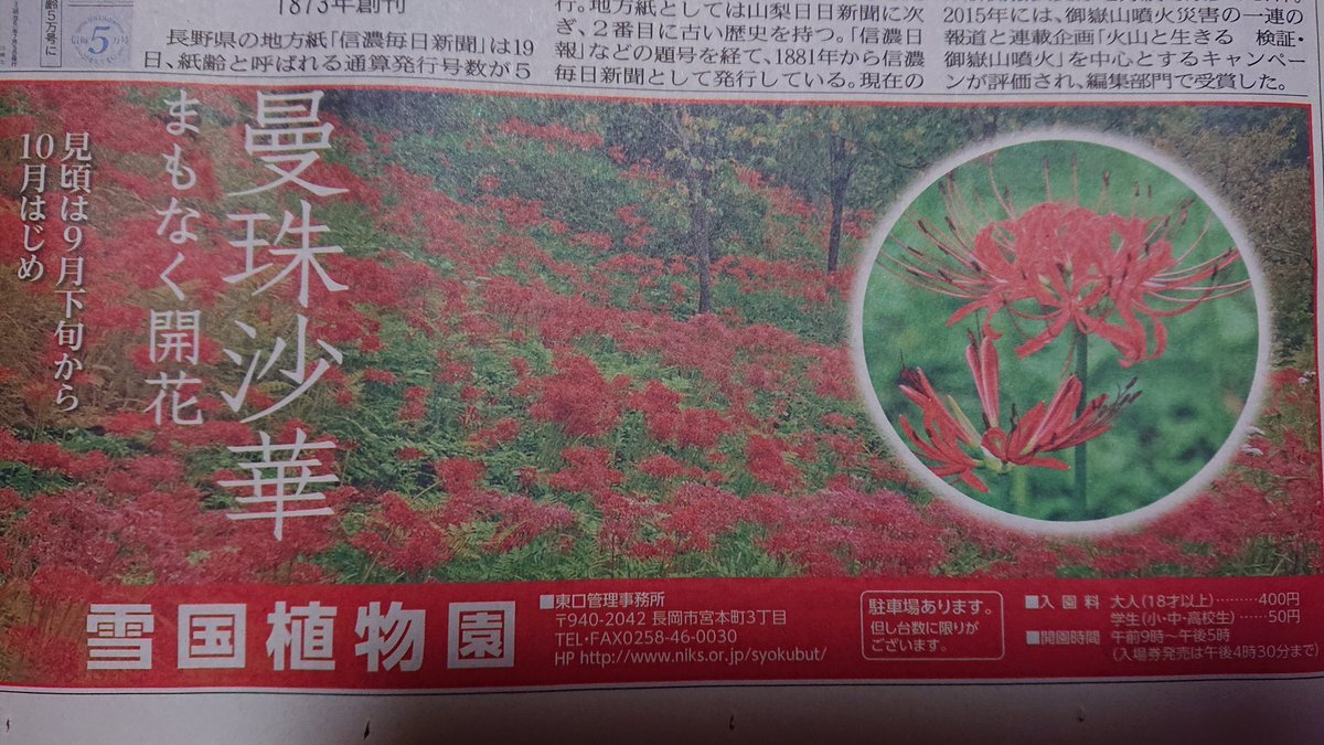 彼岸花の咲く頃 のtwitter検索結果 Yahoo リアルタイム検索