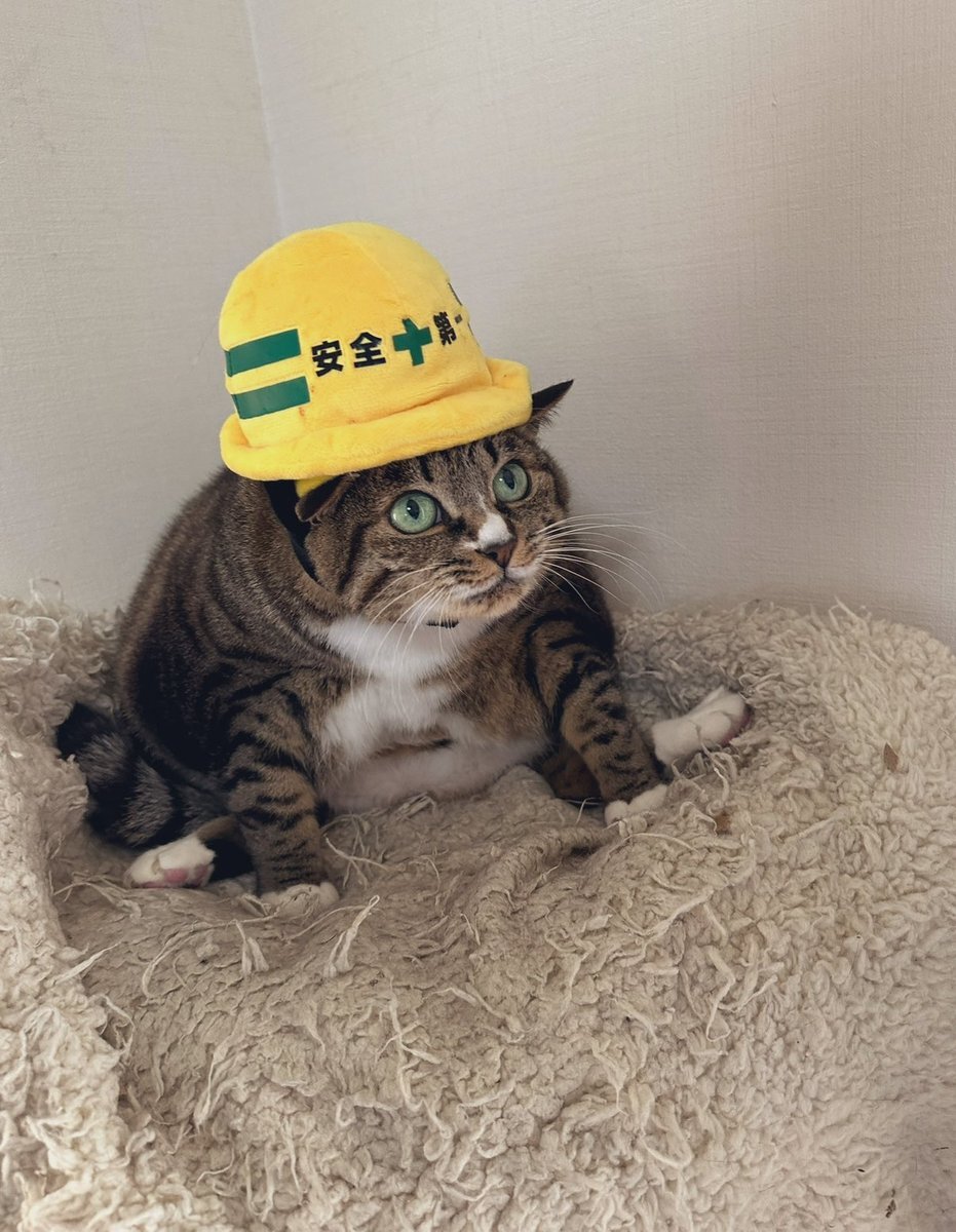 津波注意報発令！東北地方で地震発生、避難呼びかけ