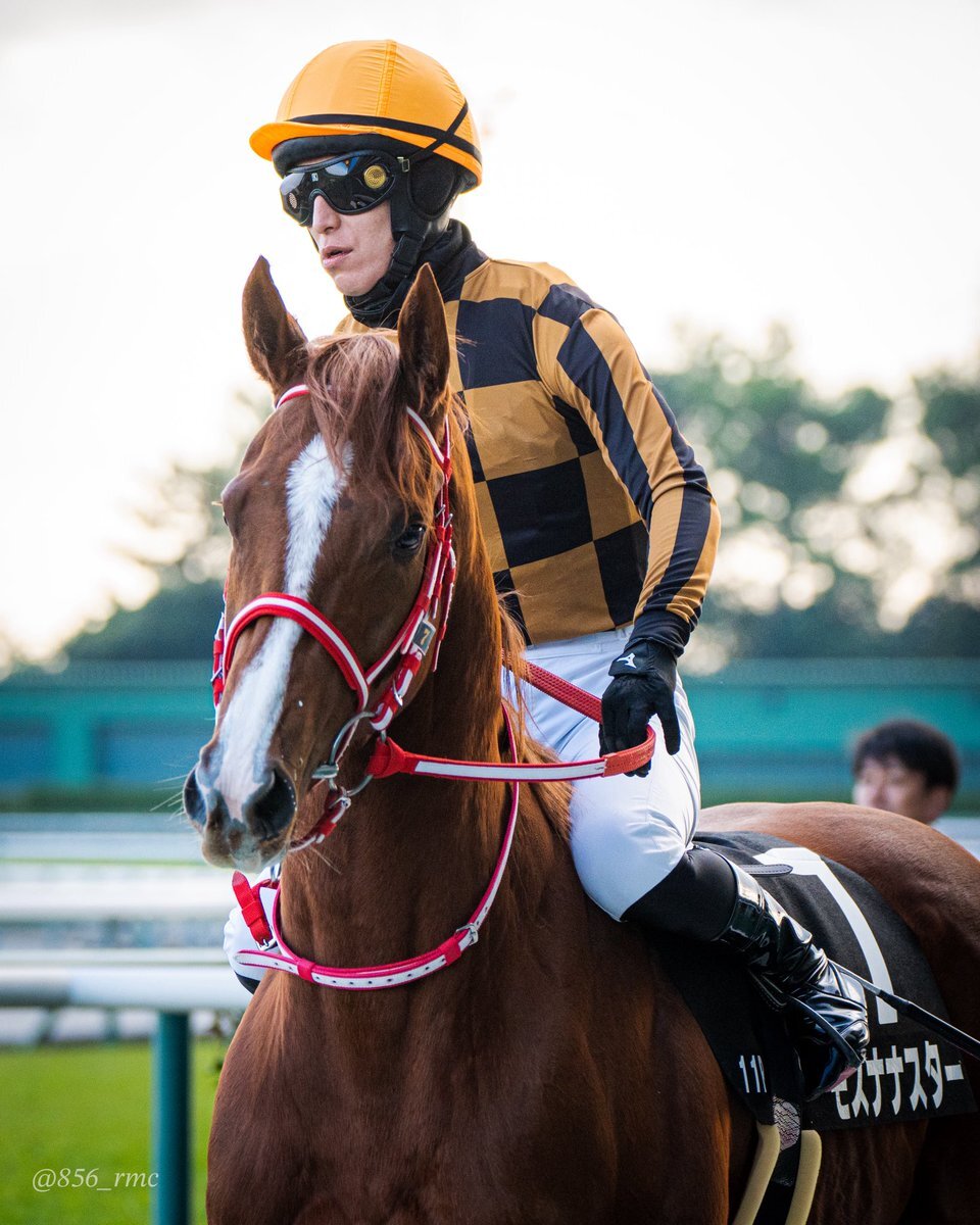 モズナナスター、知立ステークスで圧勝！ファン歓喜