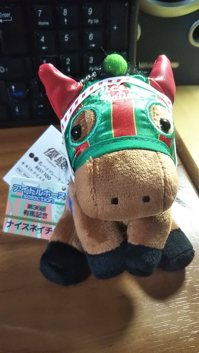 アイドルホース まとめ売り 9頭 生産終了有 アイドルホース」のYahoo!リアルタイム検索 - X（旧Twitter）を