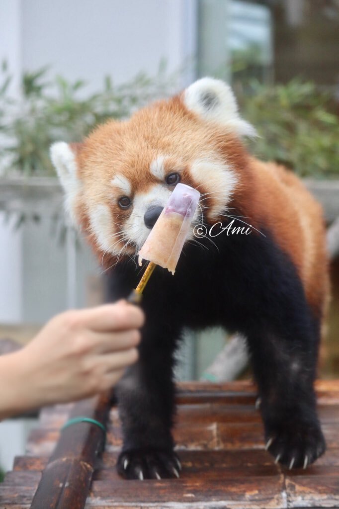 ルナ子ページ LunA」のYahoo!リアルタイム検索 - X（旧Twitter）を