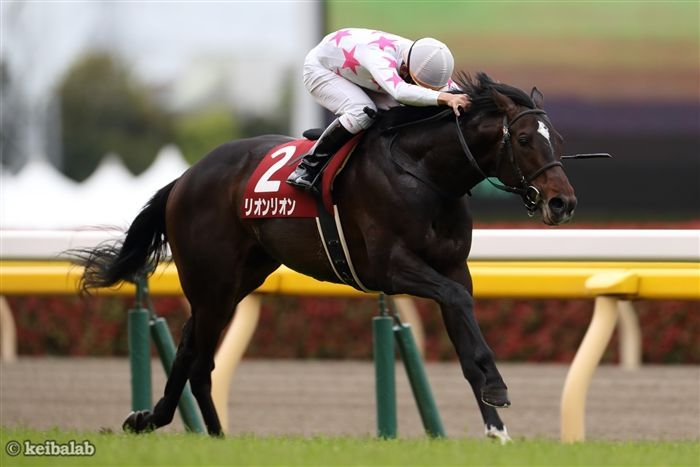 マテンロウゼロ、リオンリオン産駒JRA初勝利！横山典弘騎手とのコンビで快勝