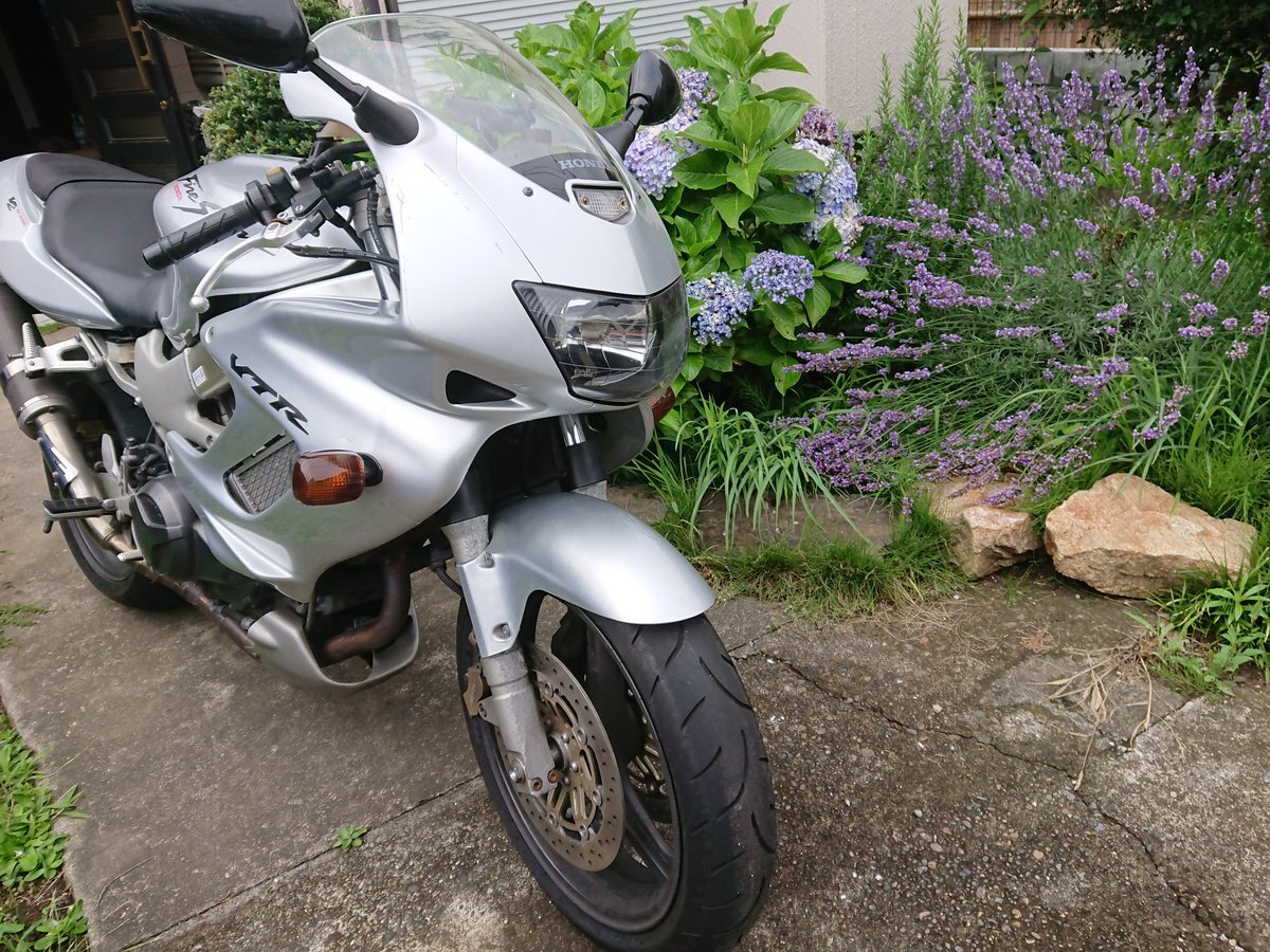 Vtr1000f のtwitter検索結果 Yahoo リアルタイム検索