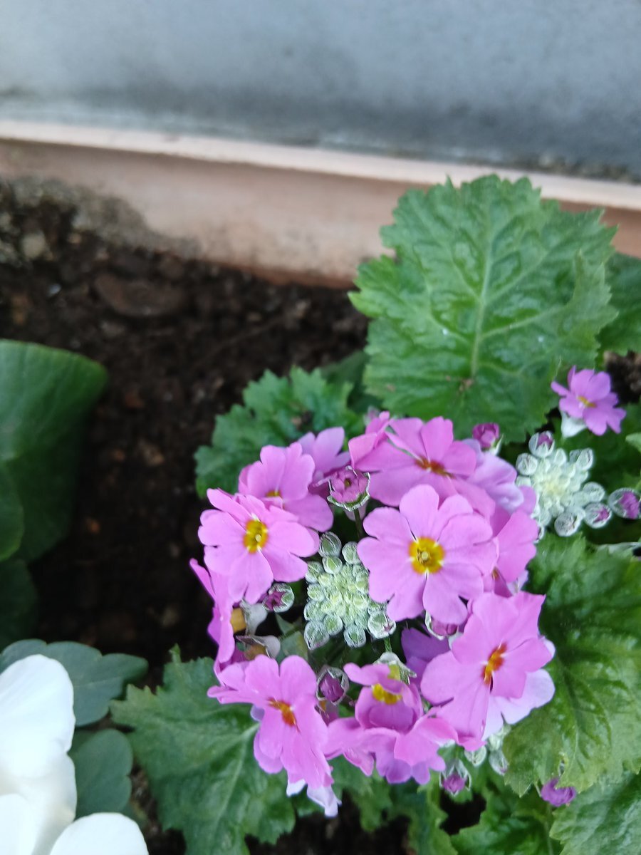 月曜日の挨拶に、今週の頑張りや週末の話題も！