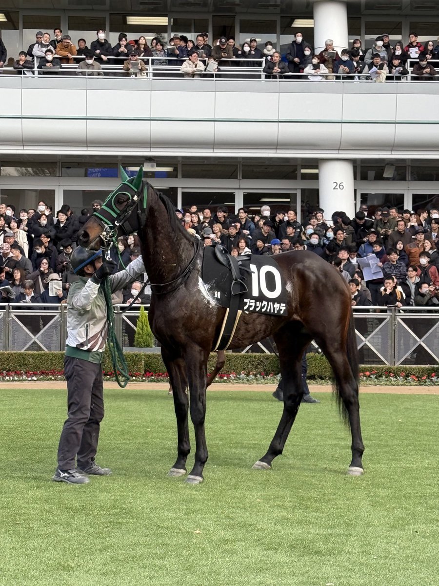 ブラックハヤテ、葉牡丹賞4着！ファンは期待と惜しみの声