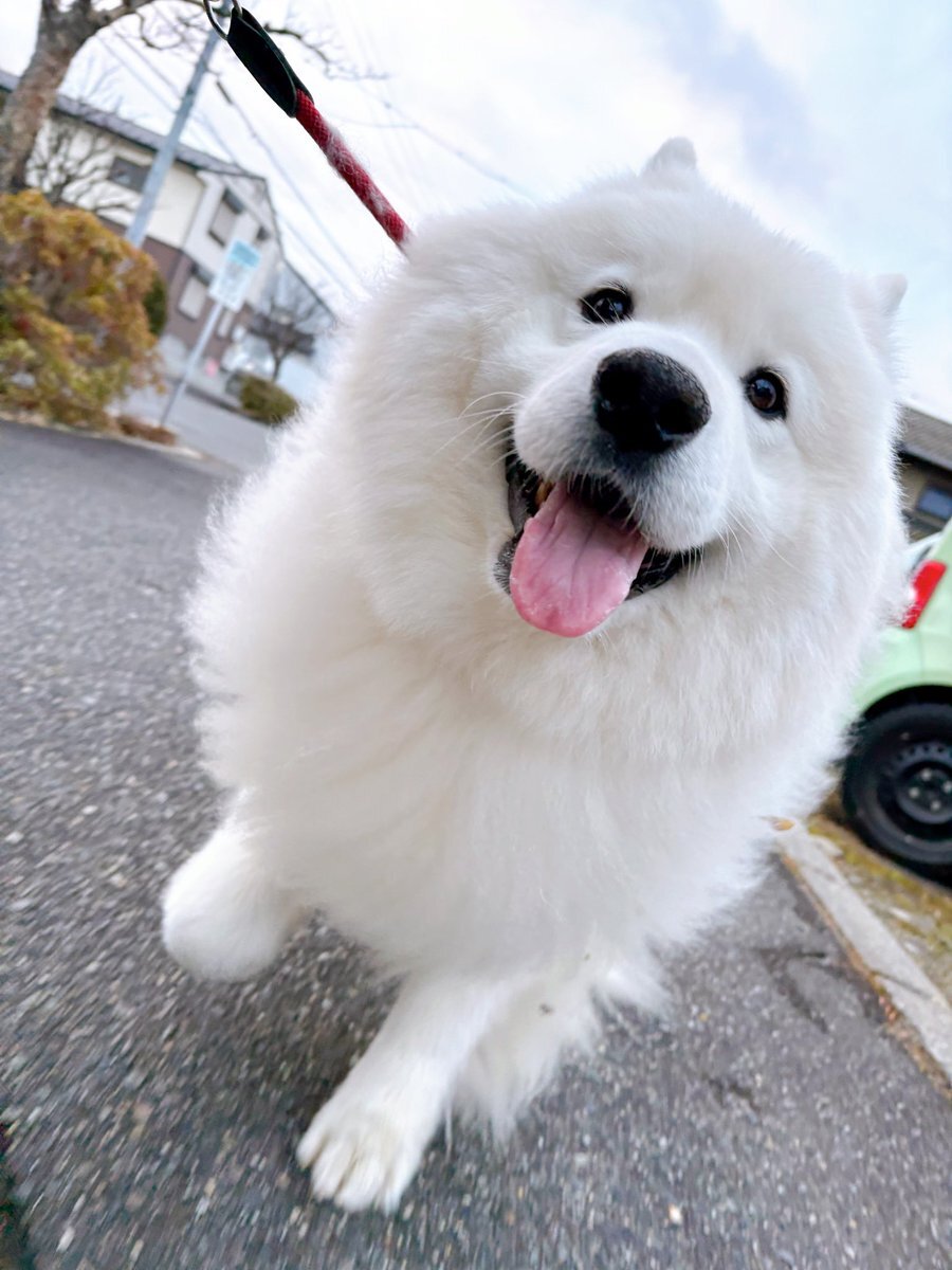 残り9日！ユーザーたちの年末年始への期待と決意